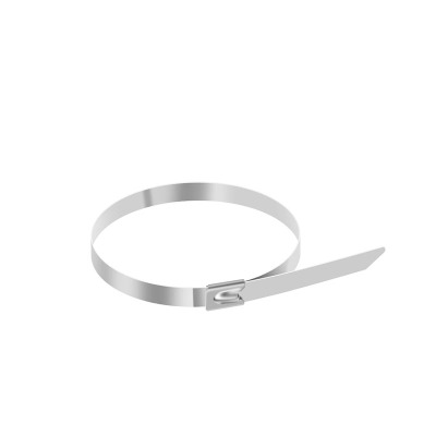 菲尔阿扎 PHIL ARZA 金属扎带 4.6*250mm/包