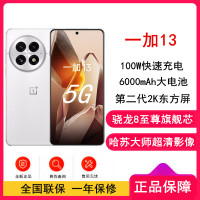 [全新]OPPO 一加13 白露晨曦 12GB+512GB 哈苏全焦段超光影影像 2K 东方屏 骁龙8至尊旗舰芯 5G旗舰手机