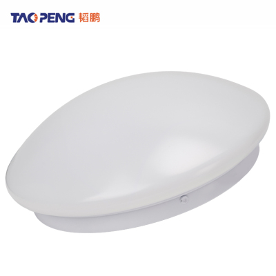 韬鹏 LED三防 吸顶灯48W-直径470mm 个