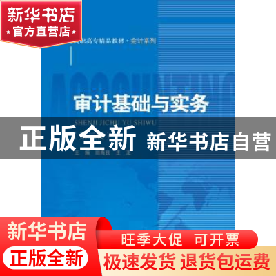 正版 审计基础与实务 田高良,王龙主编 中国人民大学出版社 9787