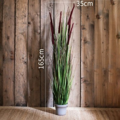 美帮汇洋葱盆景大型仿真植物绿植仿真树装饰摆件陈列布景道具 B缨草灰盆