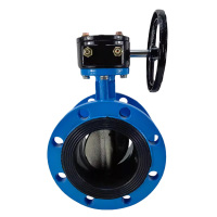 中谆云品 涡轮法兰蝶阀 DN250重型 台