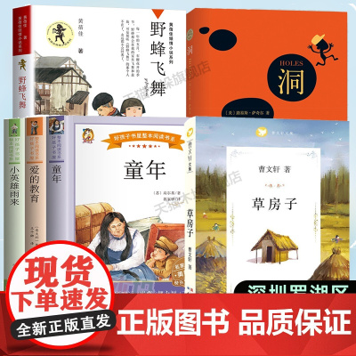 2024深圳市罗湖区六年级上学期暑假阅读书目草房子+野蜂飞舞+洞+童年适合10-11-12岁小学生课外阅读书儿童文学图书