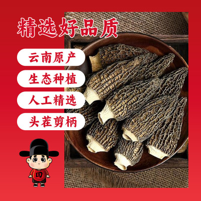 田知府 羊肚菌30g(袋装)