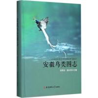 安徽鸟类图志