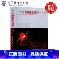 [正版] 分子细胞生物学 第三版 第3版 陈晔光 张传茂 陈佺 基因表达调控和蛋白质修饰 细胞物质运输和细胞运动