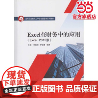Excel在财务中的应用(Excel 2013版)