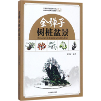 醉染图书金弹子树桩盆景97875038925