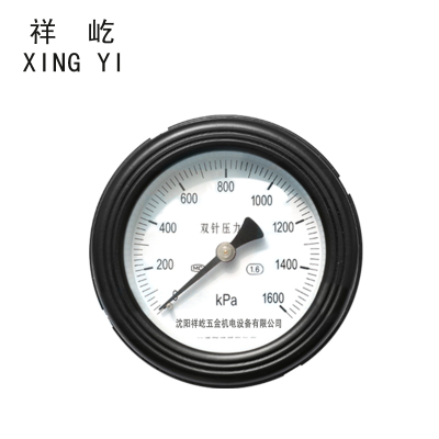 祥屹 双针双管压力表24V轴向 YYS100Z 个