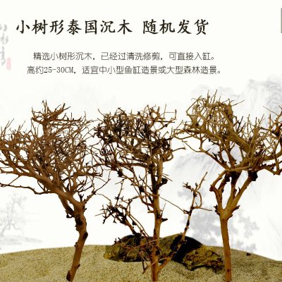 泰国沉木 树枝沉木 树形流木 水缸 莫丝树 鱼缸造景树根杜鹃根