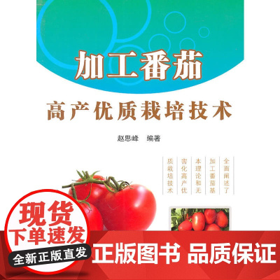 加工番茄高产优质栽培技术