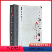 [正版]实用净土宗辞典 林克智 著 宗教文化出版社 刊网书籍