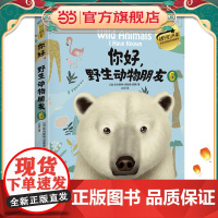 你好,野生动物朋友6(美绘精装版)