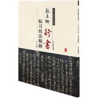 正版新书]颜真卿行书临习技法精解白龙9787534859083