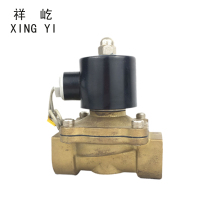 祥屹 电磁阀(全铜) DN32(备注电压) 台