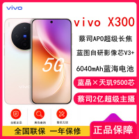 [全新]vivo X300 幸运彩 12GB+512GB 蓝晶×天玑9500芯 大电池 90W快充 支持无线充电 蔡司超级潜望长焦 拍照 AI手机