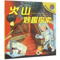 正版新书]火山妙趣探索埃利诺·巴索迪9787111540441