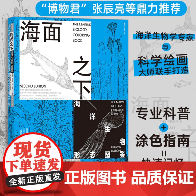 海面之下 海洋生物形态图鉴 托马斯·M. 尼森 著 博物君张辰亮等 115节海洋生物学课 图文同步 科普读物