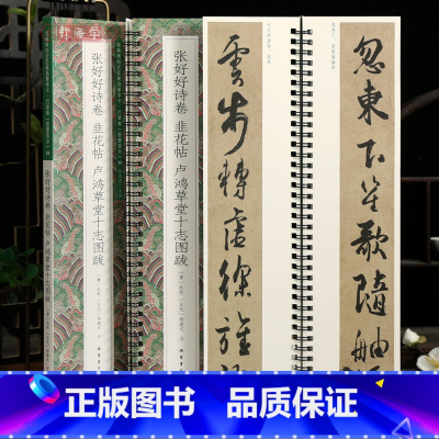 张好好诗卷韭花帖卢鸿草堂十志图跋 [正版]学海轩共3帖张好好诗卷韭花帖卢鸿草堂十志图跋近距离临摹字卡行草卷晋唐原色原帖简
