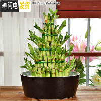 三维工匠陶瓷大号家用室内无孔铜钱一叶莲碗莲盆多肉大口径水培 W94无孔 中等花盆容器