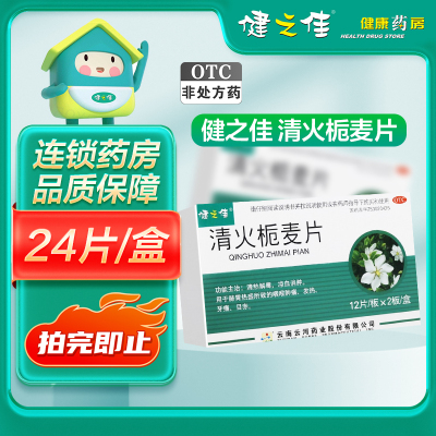 健之佳 清火栀麦片 12片*2板 清热解毒 凉血消肿 咽喉肿痛 发热牙痛