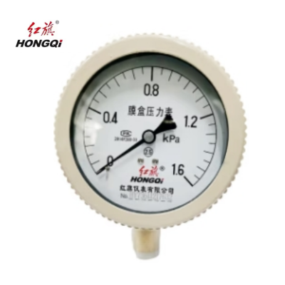 红旗 膜盒压力表定制检测款Y100(备注压力值) 块