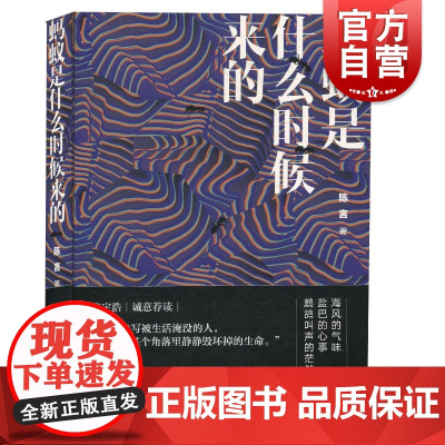 蚂蚁是什么时候来的 陈言著上海文艺出版社反节奏反戏剧反抒情的小镇生活记忆之作21世纪闽中地方风物志中国当代文学作品
