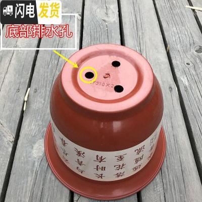 三维工匠加厚塑料仿陶瓷树脂盆栽花盆山水花盆室内客厅阳台盆景果树送托盘 w230不带托盘 3个盆花盆容器