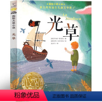 光草 [正版]光草书籍新蕾出版社三年级课外阅读小学生课外书(一个墙上的异想世界)二年级四年级五年级必读国际大奖小说儿童文