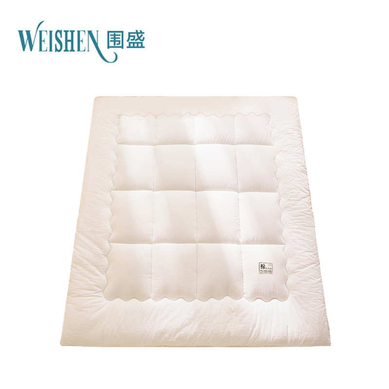 围盛 纯棉软垫 150*200*3cm-3斤白 张