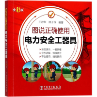 醉染图书图说正确使用电力安全工器具9787519819347