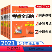 考试重点全归纳(语文)-人教版 一年级上 [正版]2023秋新版小学语文考试重点知识全归纳人教版一1二2三3四4五5六6