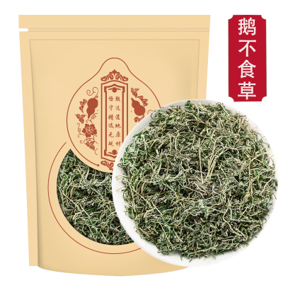 鹅不食草250g 鹅不吃草新鲜饿不食草 鹅不食草粉另售苍耳子