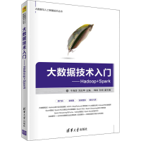正版新书]大数据技术入门——Hadoop+Spark于海浩 刘志坤 主编