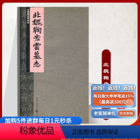 [正版]张祖翼藏拓魏碑系列:北魏鞠彦云墓志李阳洪著 李阳洪9787229000806