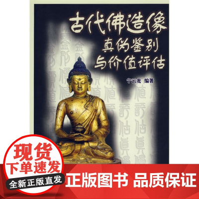 古代佛造像真伪鉴别与价值评估 宁云龙 经济日报出版社 正版书籍