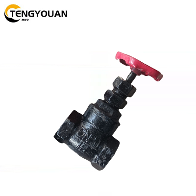 腾友安 内螺旋闸板阀 DN20/个