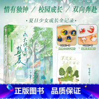 特签版/胸针x2/随书赠品 [正版]特签版加赠主题胸针x2 永不停息的盛夏 十二里闲 青春校园成长双向暗恋校园成长情有独