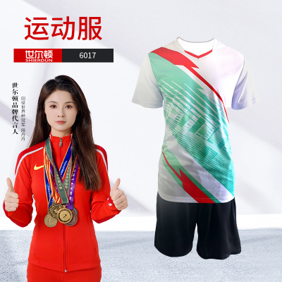 世尔顿(SHIERDUN) 运动服 6017 套