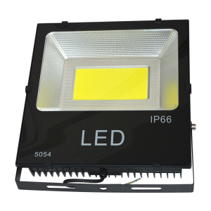 格瑞捷LED投光灯泛光灯照树灯LED彩色草坪灯景观灯防水彩灯50W 个