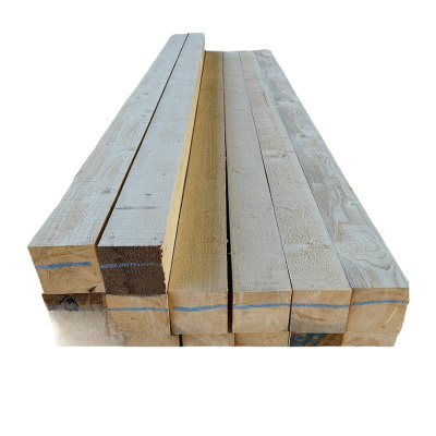 贝策 木方 垫木 方木 100*100*4000mm 根
