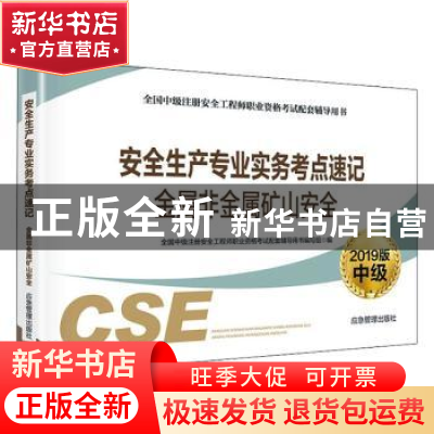 正版 安全生产专业实务考点速记:2019版:金属非金属矿山安全 全国