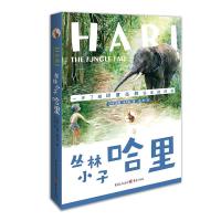 正版新书]丛林小子哈里(美)达恩·默克奇9787229145019