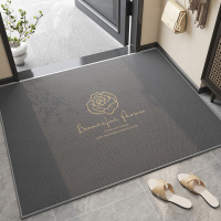 潮牌地垫入户门垫高级感防滑脚垫小香风进门口地毯玄关可裁剪垫子