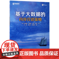 基于大数据的内容营销策略