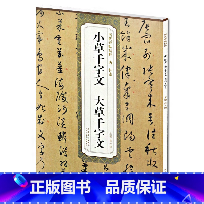 [正版] 唐怀素小草千字文大草千字文 历代碑帖精粹 薛元明主编 第二辑简体旁注碑帖草书毛笔书法字帖 安徽美术出版社 古