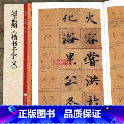 [正版]学海轩 赵孟頫楷书千字文放大版 赵孟俯赵体楷书毛笔书法字帖墨迹本附带教程技法解析 黑龙江美术出版社