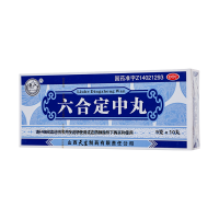 紫金山泉六合定中丸9g*10丸祛暑除湿和胃消食