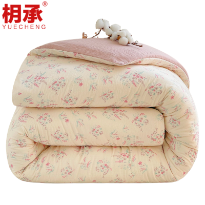 枂承 被芯150*200cm6斤 张