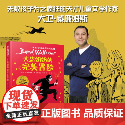 大盗奶奶的完美冒险 正版大卫·威廉姆斯著大卫少年幽默小说系列经典儿童文学故事书小学生三四年级课外书非注音版接力出版社kq